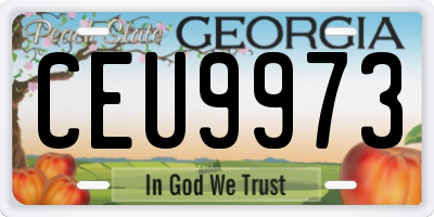 GA license plate CEU9973
