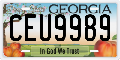 GA license plate CEU9989