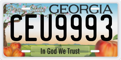 GA license plate CEU9993