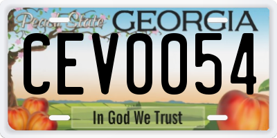 GA license plate CEV0054