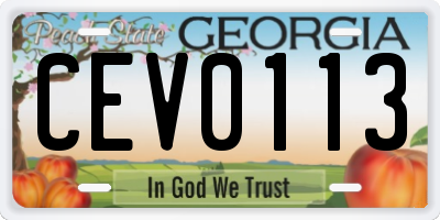 GA license plate CEV0113