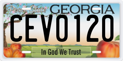 GA license plate CEV0120