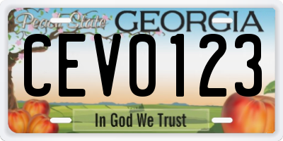GA license plate CEV0123