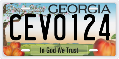 GA license plate CEV0124
