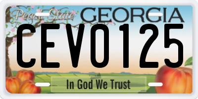 GA license plate CEV0125