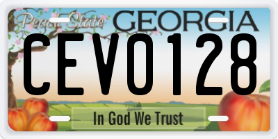 GA license plate CEV0128