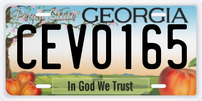 GA license plate CEV0165