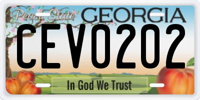 GA license plate CEV0202