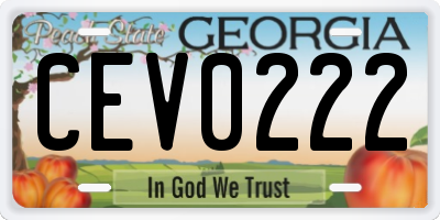 GA license plate CEV0222