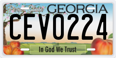 GA license plate CEV0224