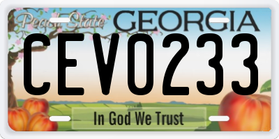 GA license plate CEV0233
