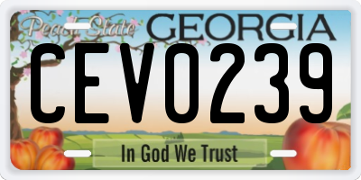 GA license plate CEV0239