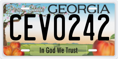 GA license plate CEV0242