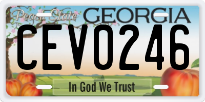 GA license plate CEV0246