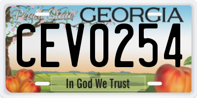 GA license plate CEV0254