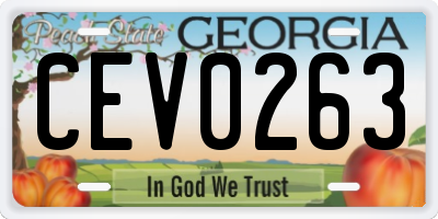 GA license plate CEV0263