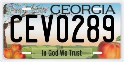 GA license plate CEV0289