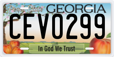 GA license plate CEV0299