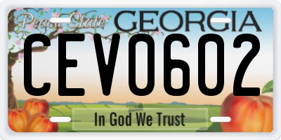 GA license plate CEV0602