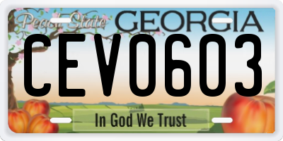 GA license plate CEV0603