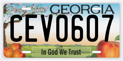 GA license plate CEV0607