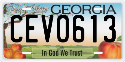 GA license plate CEV0613