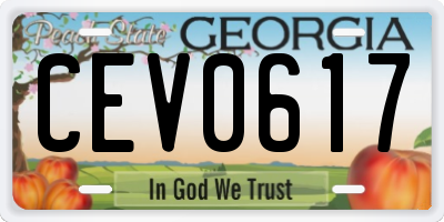 GA license plate CEV0617