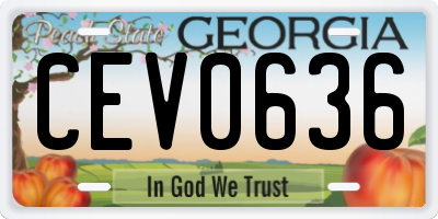 GA license plate CEV0636