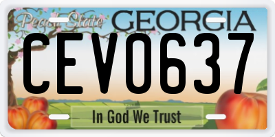 GA license plate CEV0637