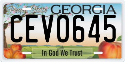 GA license plate CEV0645