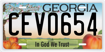 GA license plate CEV0654