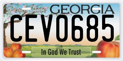 GA license plate CEV0685