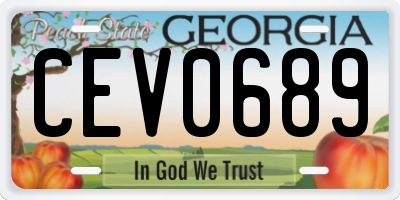 GA license plate CEV0689