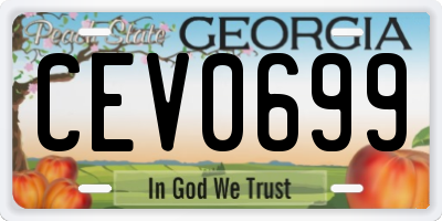 GA license plate CEV0699