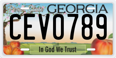 GA license plate CEV0789