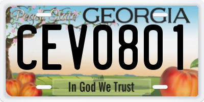 GA license plate CEV0801