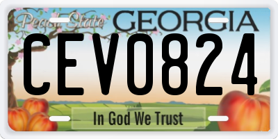 GA license plate CEV0824