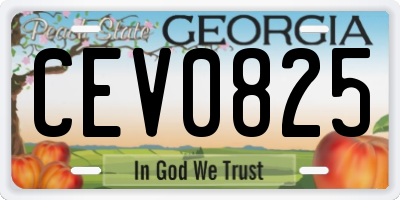 GA license plate CEV0825