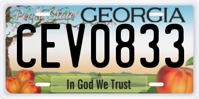 GA license plate CEV0833
