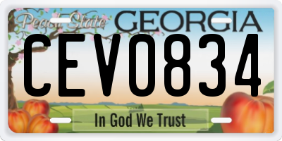 GA license plate CEV0834
