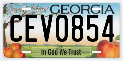 GA license plate CEV0854