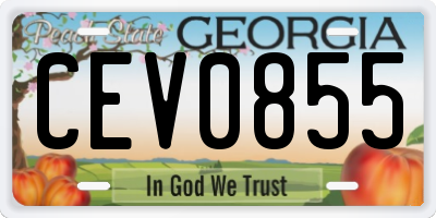 GA license plate CEV0855