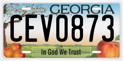 GA license plate CEV0873