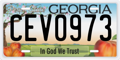 GA license plate CEV0973
