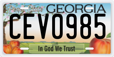 GA license plate CEV0985