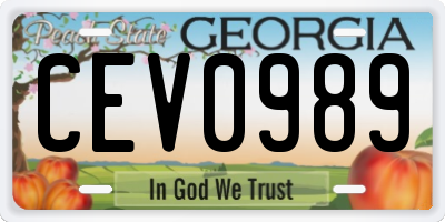 GA license plate CEV0989