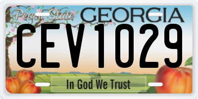 GA license plate CEV1029