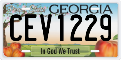 GA license plate CEV1229
