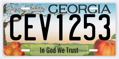 GA license plate CEV1253