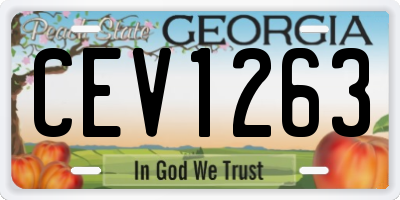 GA license plate CEV1263